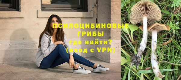 ПСИЛОЦИБИНОВЫЕ ГРИБЫ Алексин