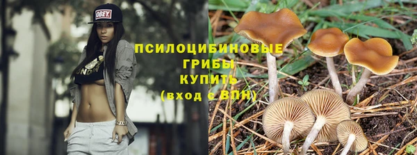 ALPHA PVP Алзамай