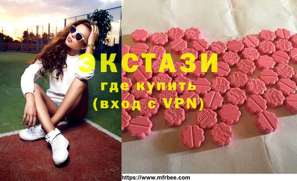 крисы Козельск