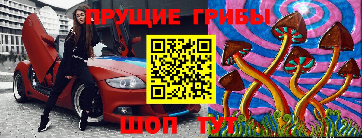 Псилоцибиновые грибы прущие грибы Новозыбков