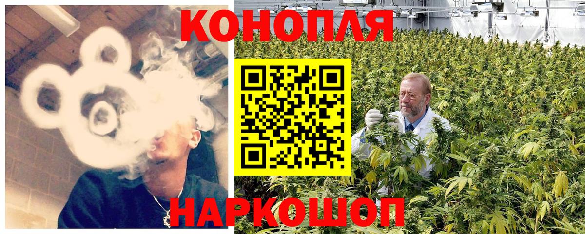Бошки марихуана Ganja Новозыбков
